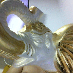 Foto del perfil de jhovanny